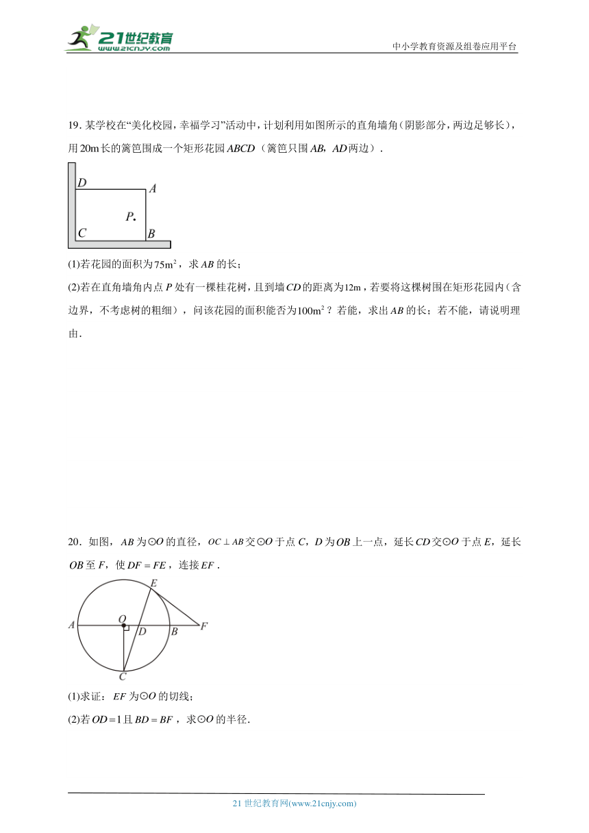 期末经典题型检测卷2023-2024学年数学九年级上册青岛版（含解析）