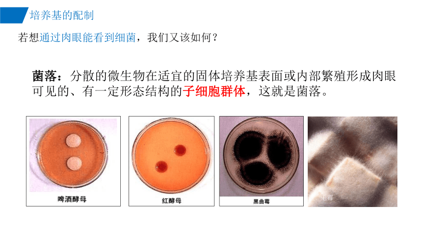 生物人教版（2019）选择性必修3 1.2微生物的培养技术（共45张ppt）