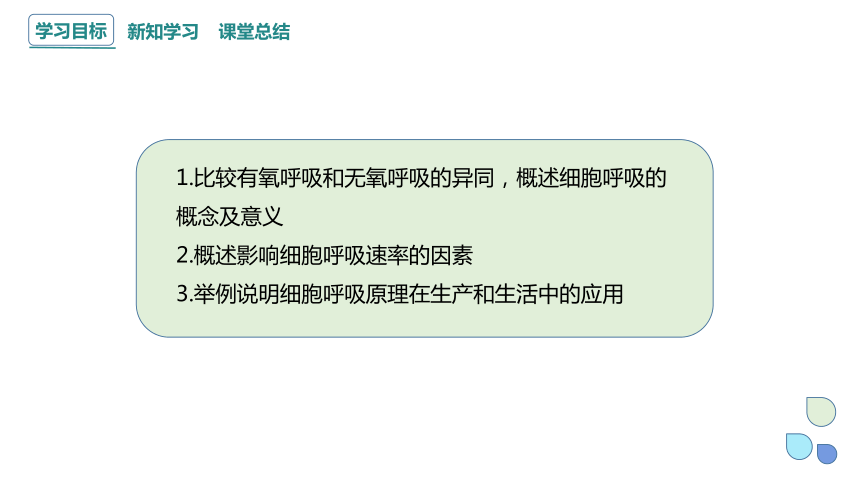 5.3.2 细胞呼吸的原理和应用 课件(共20张PPT) 2023-2024学年高一生物人教版（2019）必修1