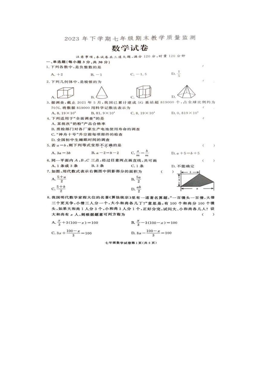 湖南省张家界市桑植县2023-2024学年七年级上学期1月期末数学试题（图片版，含答案）