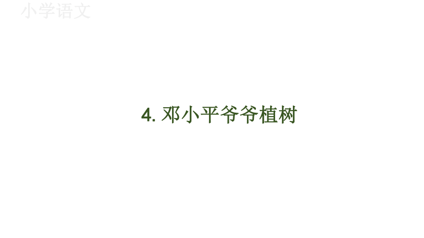 4邓小平爷爷植树 课件(共37张PPT)