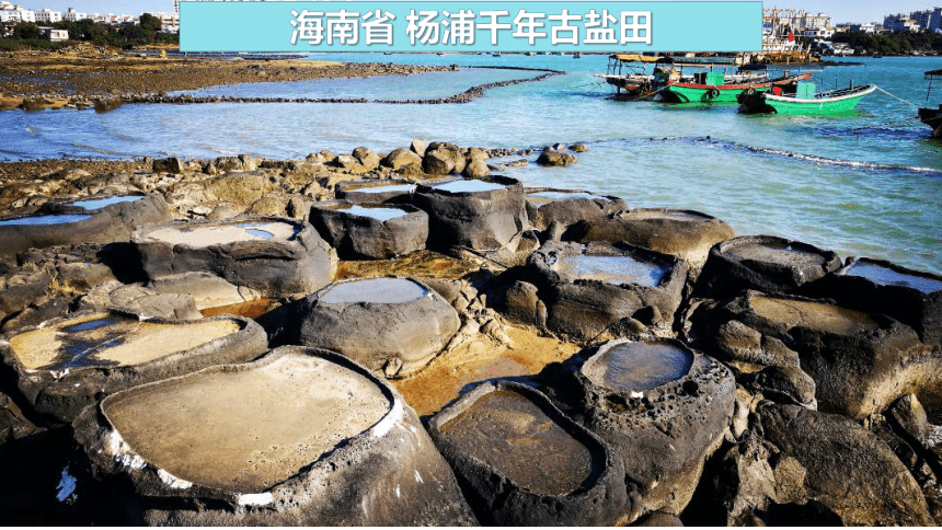 3.4 中国的海洋资源 课件(共21张PPT)湘教版八年级地理上册
