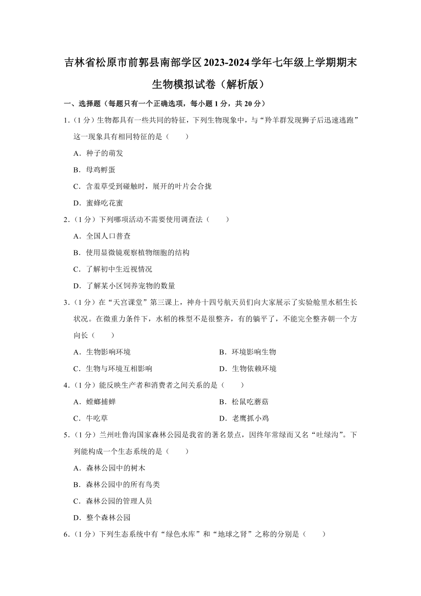 吉林省松原市前郭县南部学区2023-2024学年七年级上学期期末生物模拟试卷（含解析）