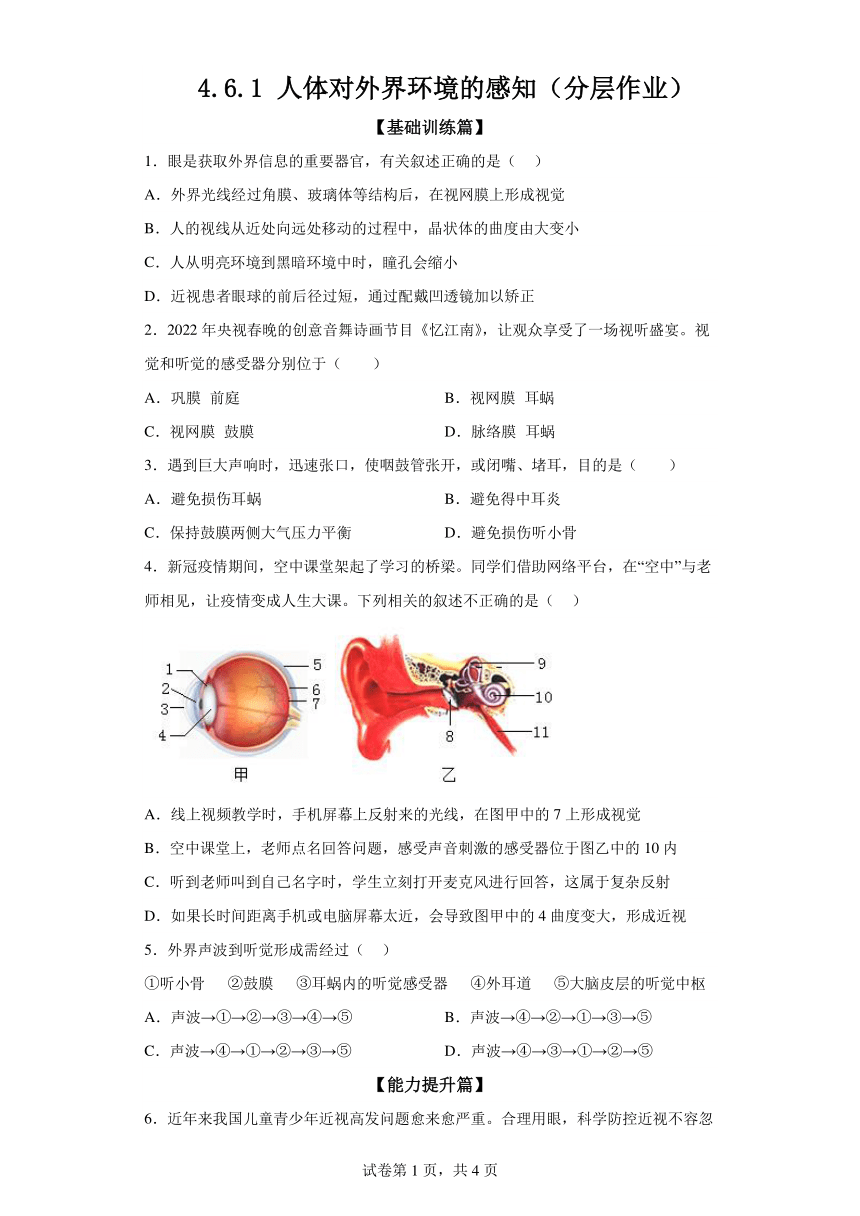 4.6.1人体对外界环境的感知 分层作业 七年级生物下册人教版（含解析）