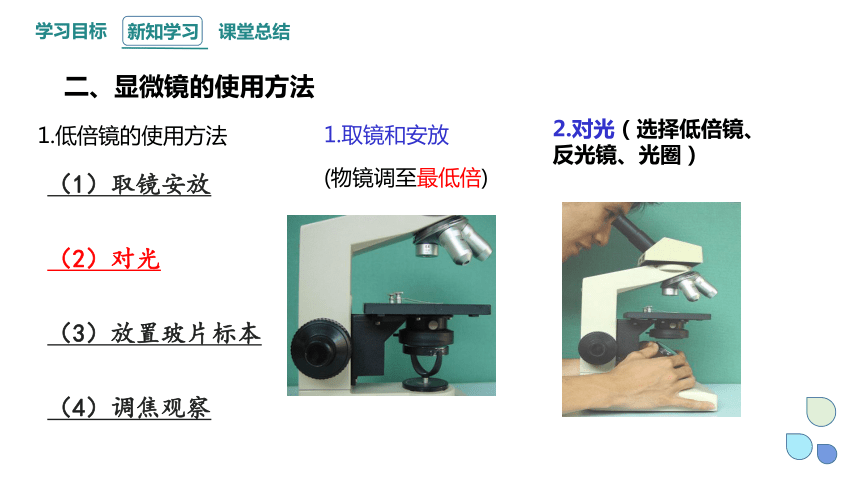 1.2 细胞的多样性和统一性 课件(共26张PPT) 2023-2024学年高一生物人教版（2019）必修1