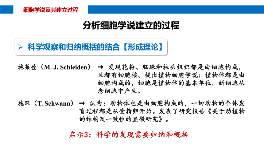 1.1细胞是生命活动的基本单位课件（共29张PPT） 生物人教版必修1