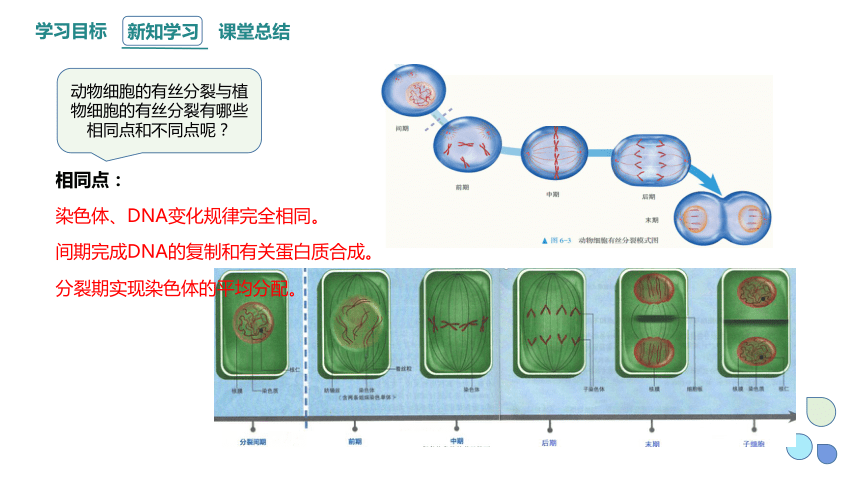 6.1.2 细胞的增殖 课件 (共22张PPT)2023-2024学年高一生物人教版（2019）必修1