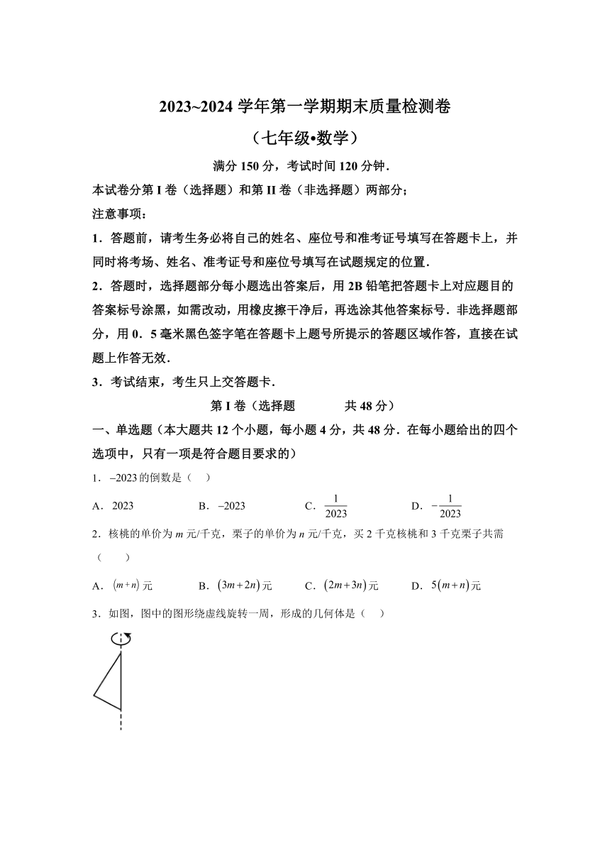 甘肃省陇南市康县2023-2024学年七年级上学期期末数学试题（含解析）