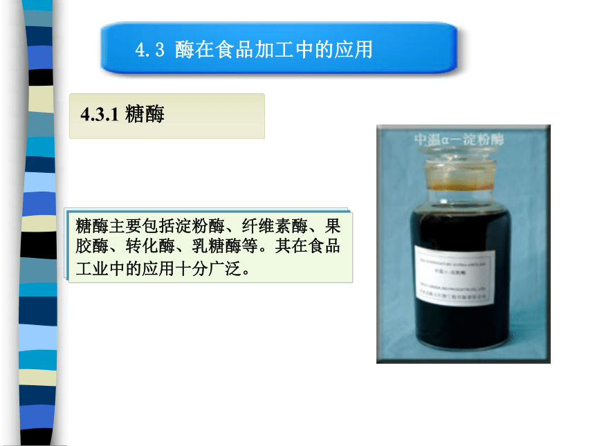 4.3 酶在食品加工中的应用 课件(共28张PPT)-《食品生物化学》同步教学（大连理工大学出版社）