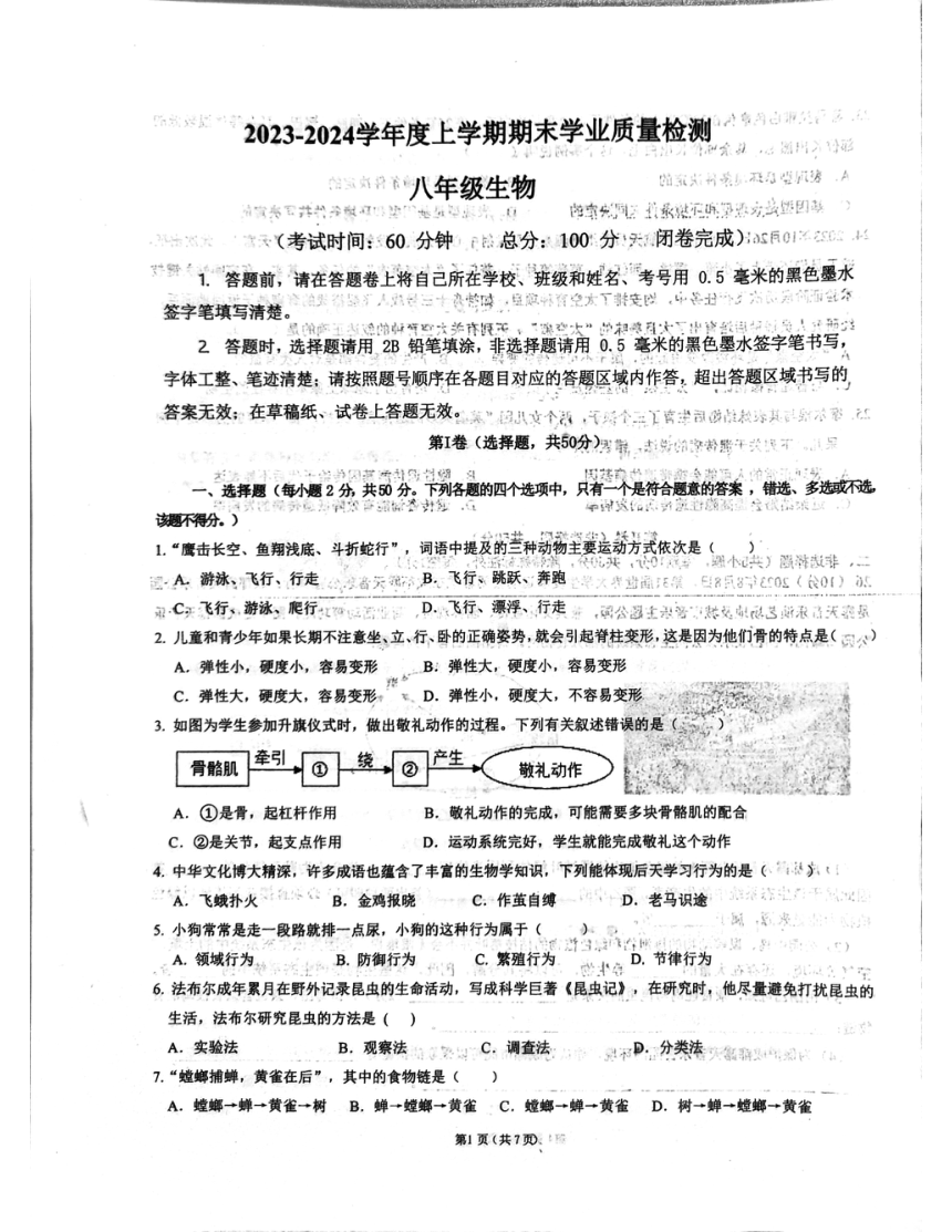 四川省成都市高新技术产业开发区2023-2024学年八年级上学期期末生物试题（PDF版无答案）