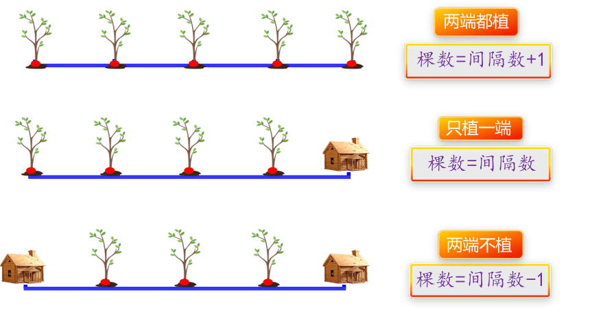 人教版小学数学五年级上册《植树问题》课件(共14张PPT)