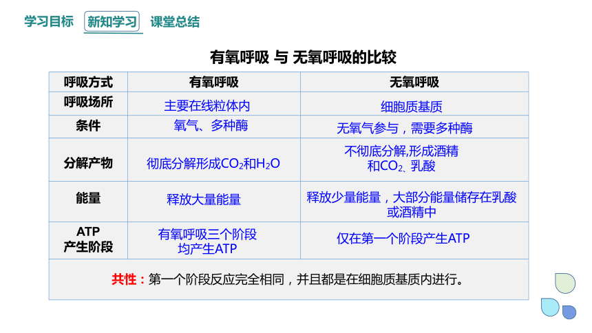 5.3.2 细胞呼吸的原理和应用 课件(共20张PPT) 2023-2024学年高一生物人教版（2019）必修1