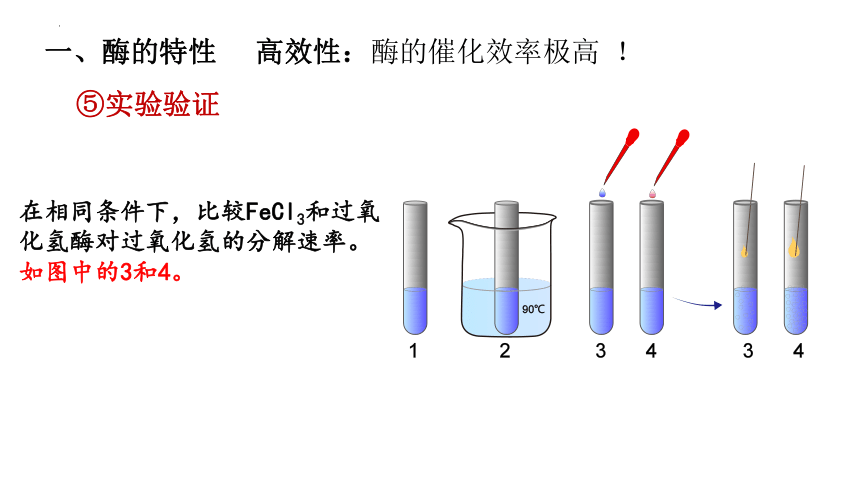 5.1 降低化学反应活化能的酶（第二课时）（共56张PPT）高一生物课件（2019人教版必修1）