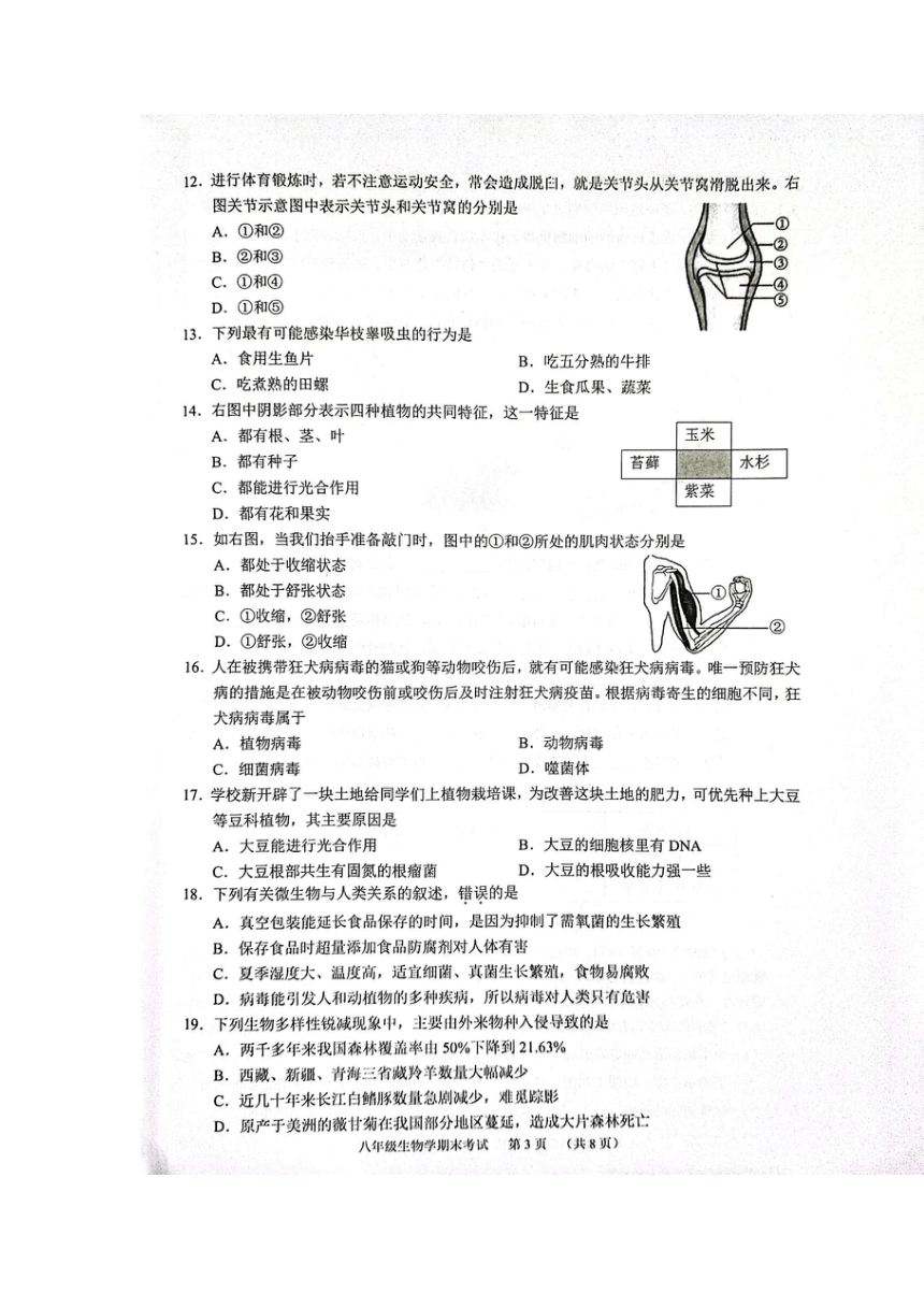 广东省广州市天河区2023-2024学年八年级上学期期末生物学试题（图片版无答案）