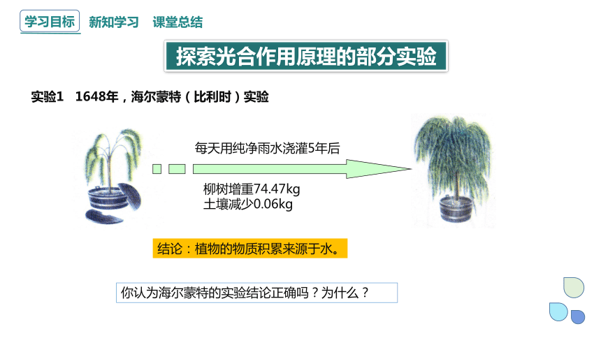 5.4.2 光合作用的原理和应用 课件(共24张PPT) 2023-2024学年高一生物人教版（2019）必修1