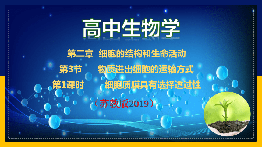 2.2.5 细胞的结构和生命活动——细胞质膜具有选择透过性（课件）(共47张PPT)高一生物（苏教版2019必修1）