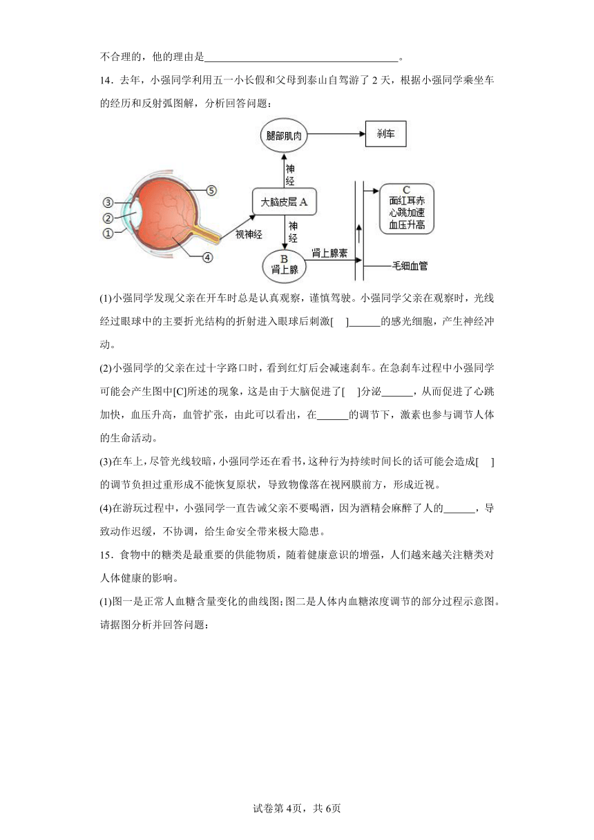 4.6.4激素调节 分层作业 （含解析）七年级生物下册人教版