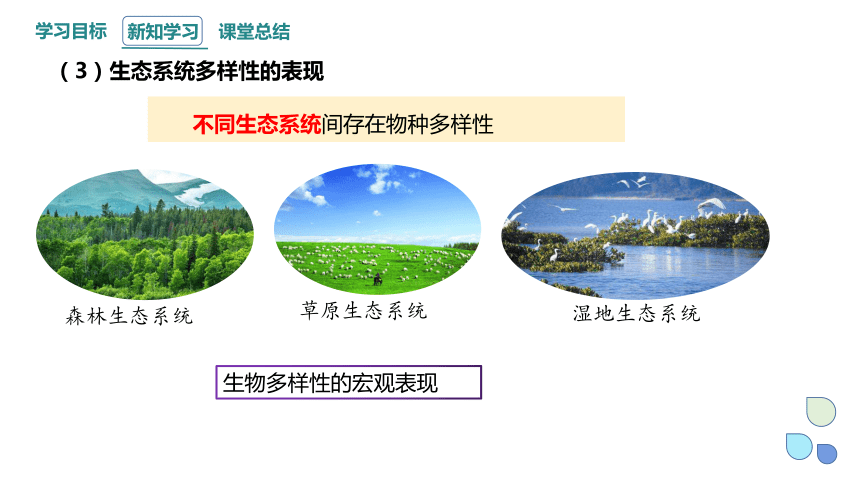 4.3 保护生物多样性意义重大 课件(共24张PPT) 2023-2024学年高二生物浙科版（2019）选择性必修2