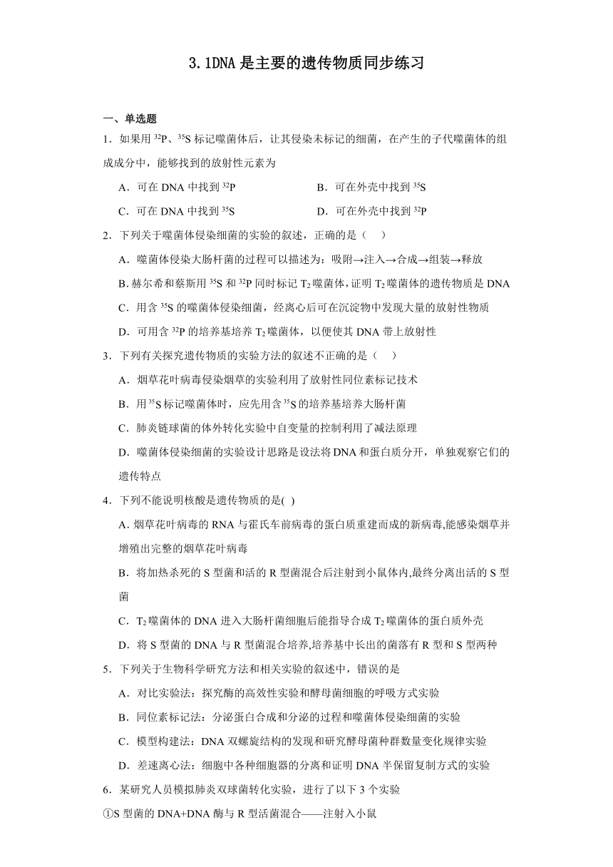 3.1DNA是主要的遗传物质同步练习2023-2024学年高一下学期生物人教版必修2（含答案）