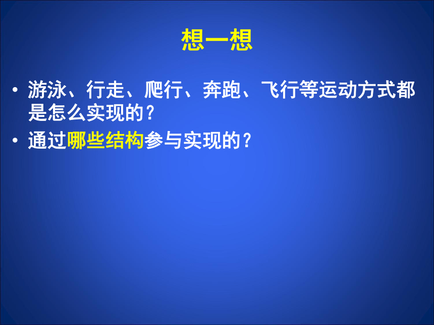 初中生物北师大版八年级上册15.2 动物运动的形成（18张）