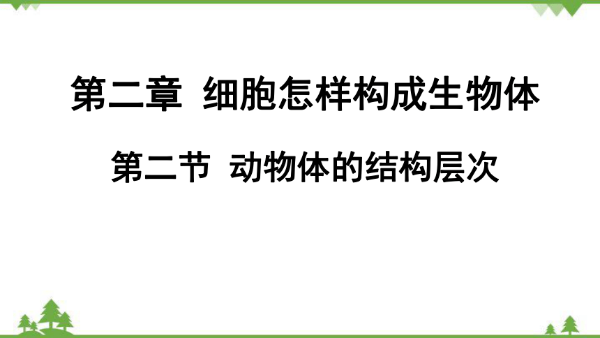 2.2.2动物体的结构层次课件(共18张PPT) 人教版生物七年级上册