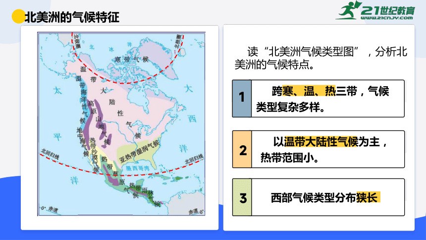 6.3美洲（第2课时）课件（共21张PPT）