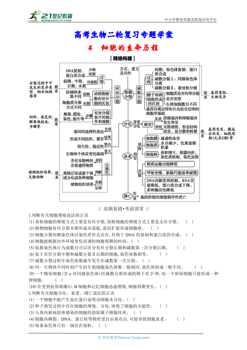 高考生物二轮复习专题学案：4 细胞的生命历程（含解析）