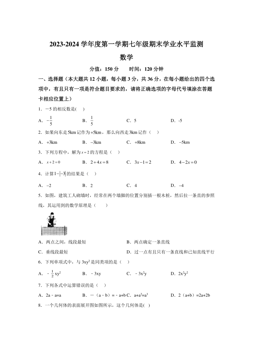 江苏省宿迁市泗阳县2023-2024学年七年级上学期期末数学试题(含解析)