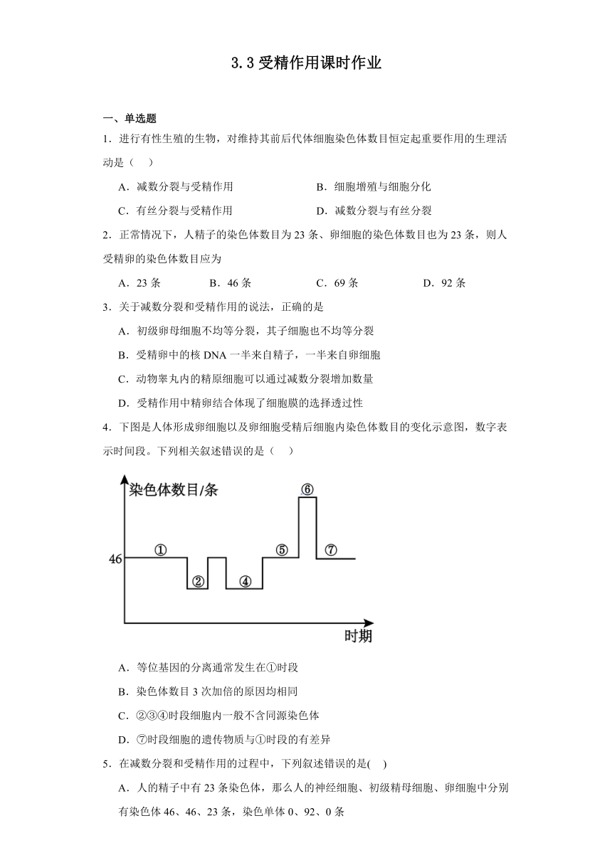 3.3受精作用课时作业（含解析） 2023-2024学年高一下学期生物北师大2019版必修2