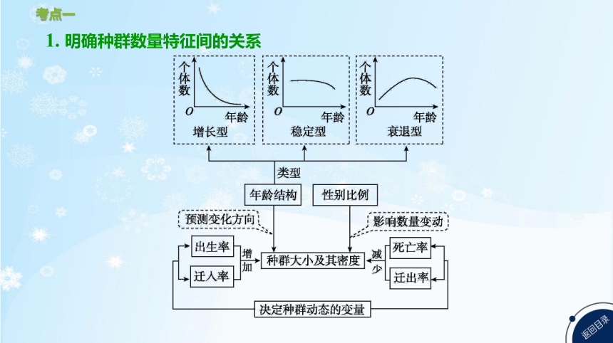 高考生物二轮复习小专题10   种群和群落(共70张PPT)