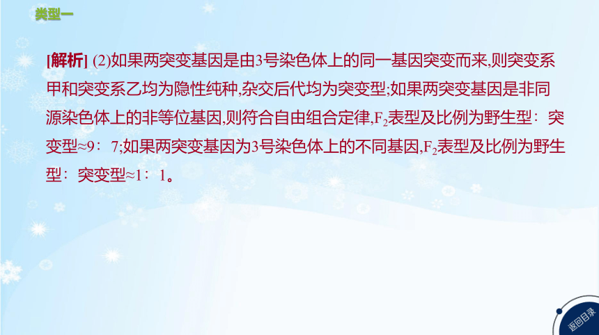 高考生物二轮复习微专题5　遗传、变异与细胞分裂的综合应用(共25张PPT)