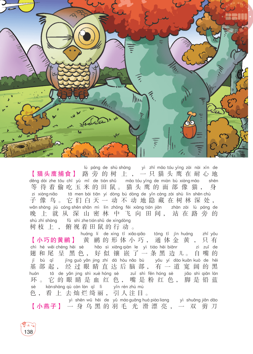 【小学生作文好词好句好段】事物写生1.各种动物（PDF版）