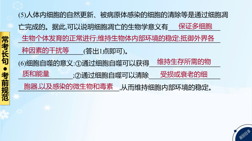 高考生物二轮复习小专题4　细胞的生命历程(共85张PPT)