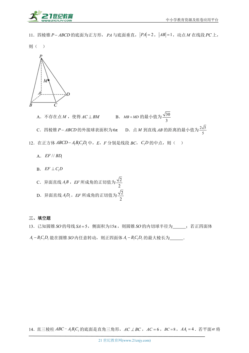 2023-2024学年数学人教A版必修第二册第八章立体几何初步精选题（含解析）