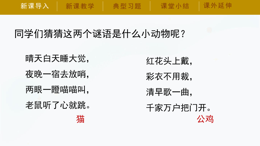 湘科版（2017秋）一年级下册科学课件3.2《观察身边的动物》课件（共32张PPT）