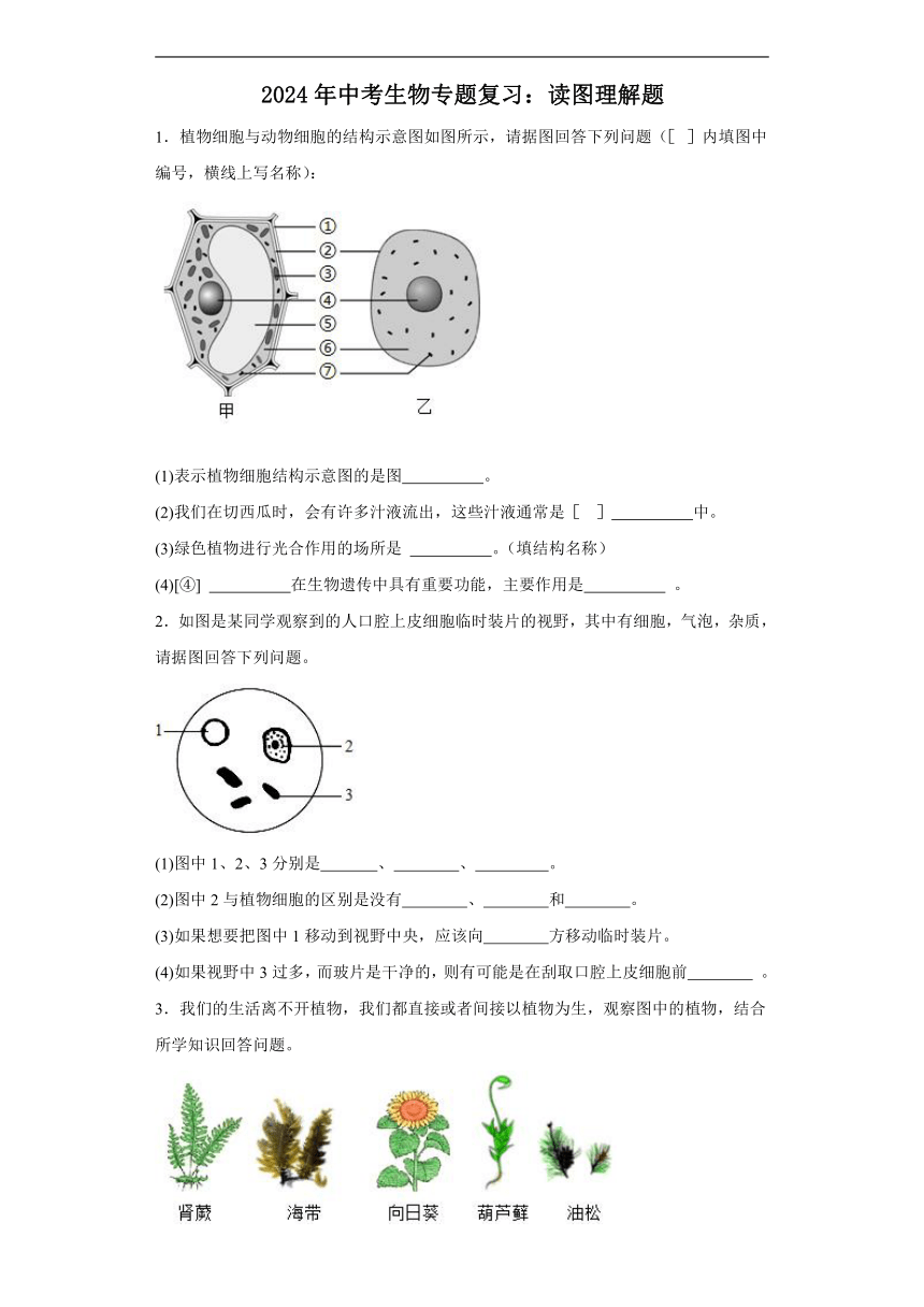 2024年中考生物专题复习：读图理解题（含答案）