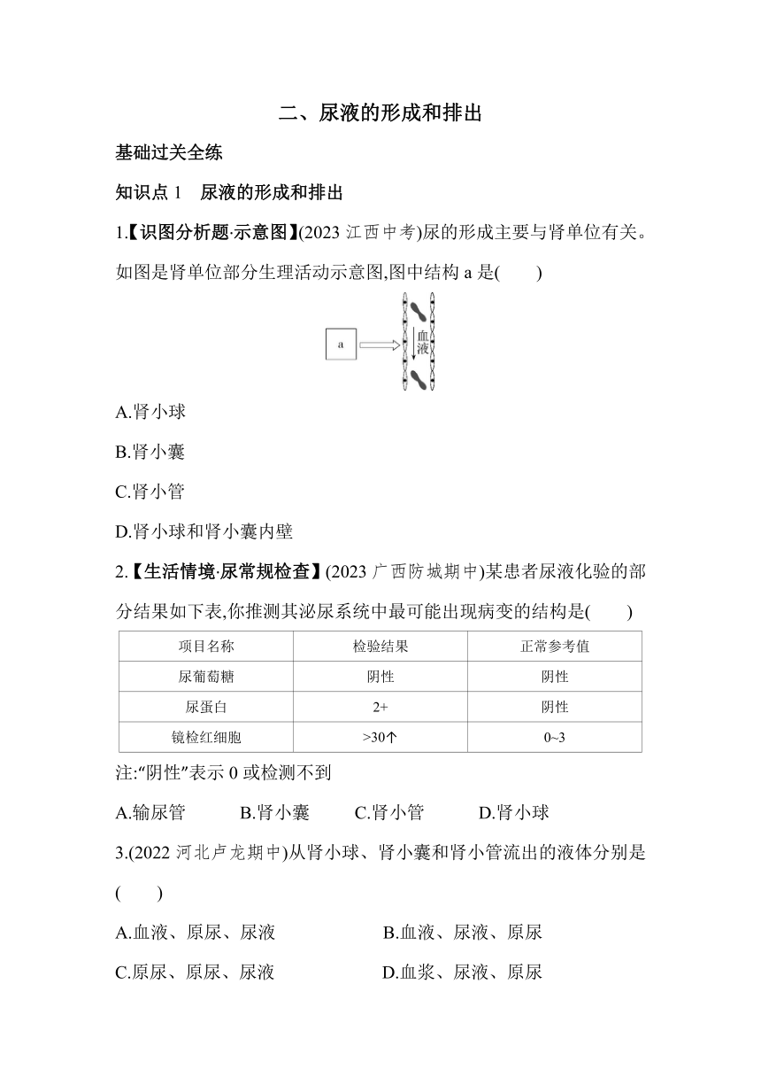 2.3.2.2 尿液的形成和排出 同步素养提升练习（含解析）冀少版七年级下册生物