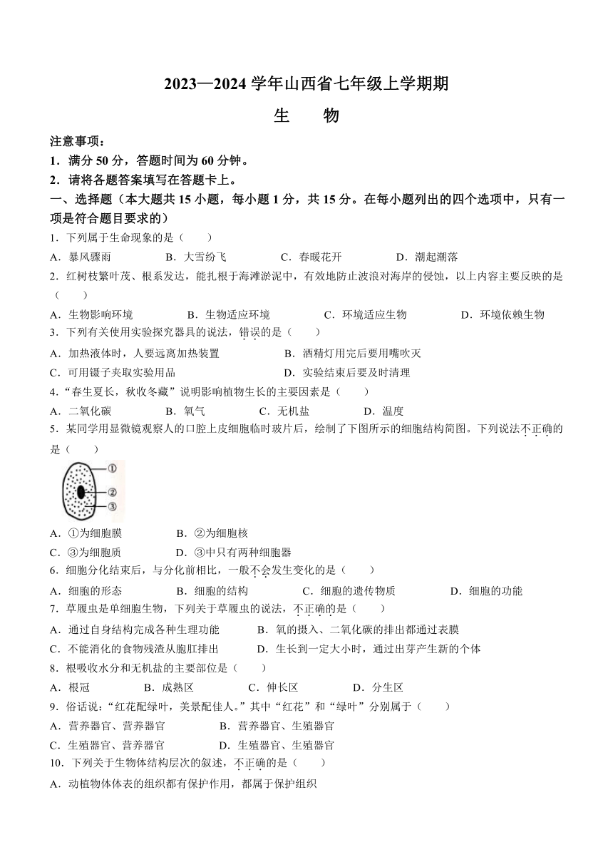 山西省长治市2023-2024学年七年级上学期期末生物试题（含答案）