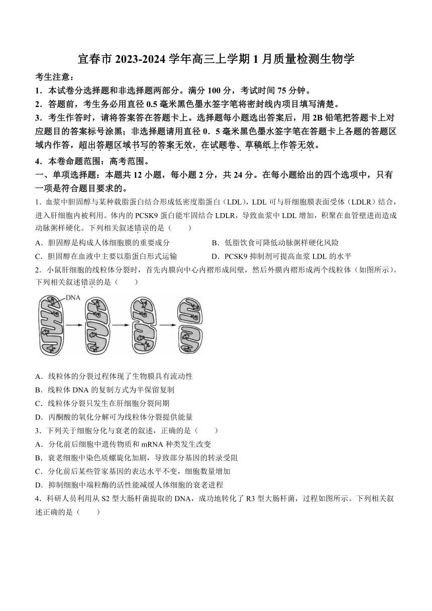 江西省宜春市2023-2024学年高三上学期1月质量检测生物学试题（含答案）