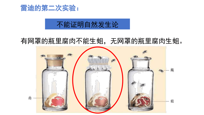 7.21.1 生命的起源课件(共22张PPT) 北师大版生物八年级下册 (1)