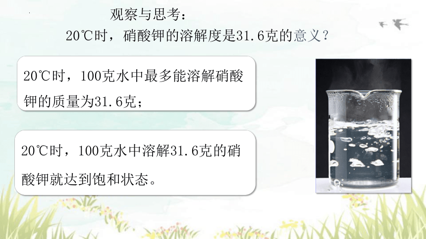 第九单元课题2课时2 溶解度课件-2023-2024学年九年级化学人教版下册