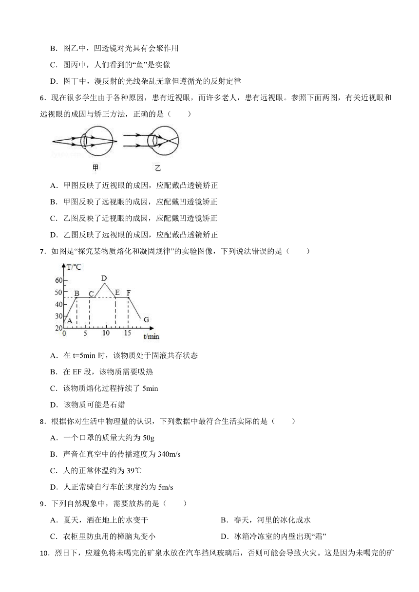 广西南宁市江南区2023-2024学年八年级上学期物理期末试卷（含解析）