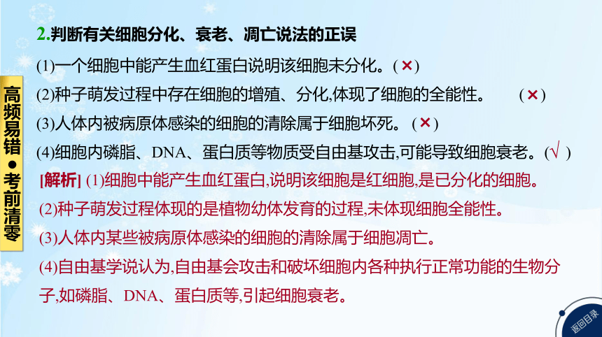 高考生物二轮复习小专题4　细胞的生命历程(共85张PPT)