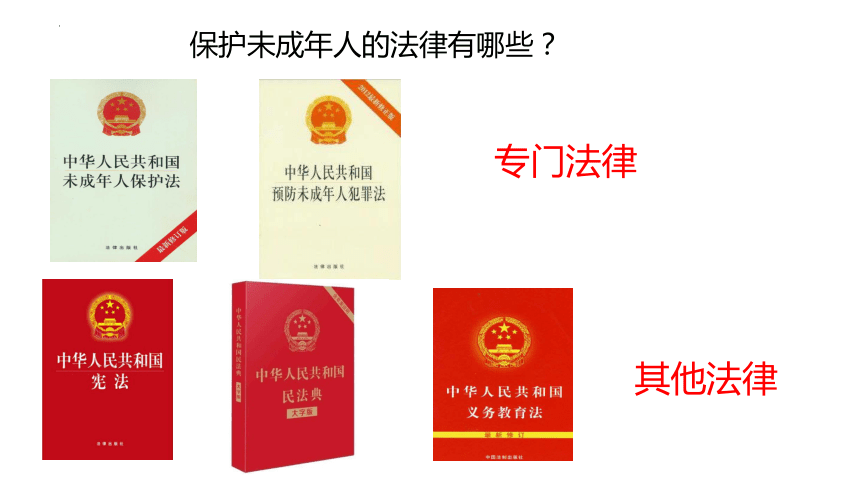 10.1 法律为我们护航 课件(共24张PPT)