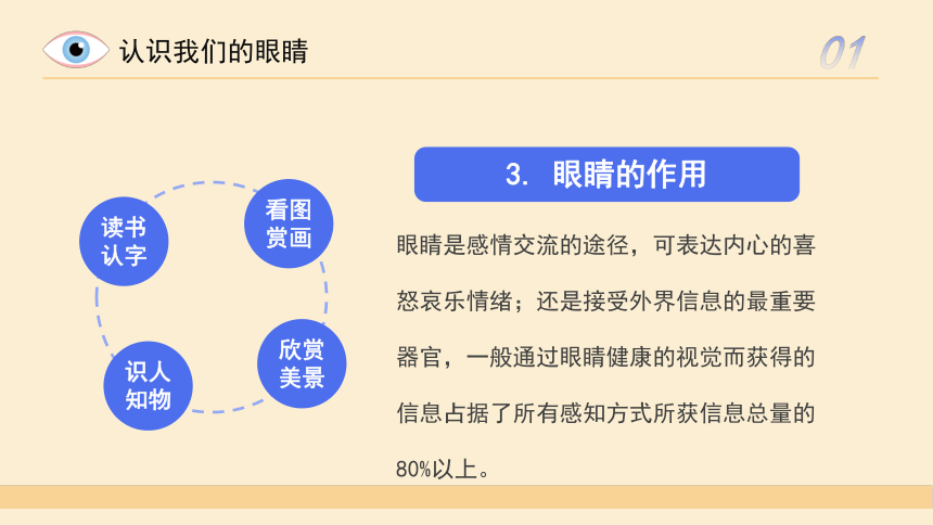 预防近视主题班会--------我们要从小做起——爱护眼睛 课件（共22张PPT）