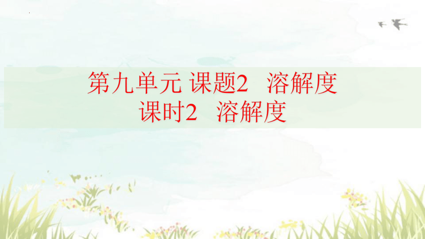 第九单元课题2课时2 溶解度课件-2023-2024学年九年级化学人教版下册