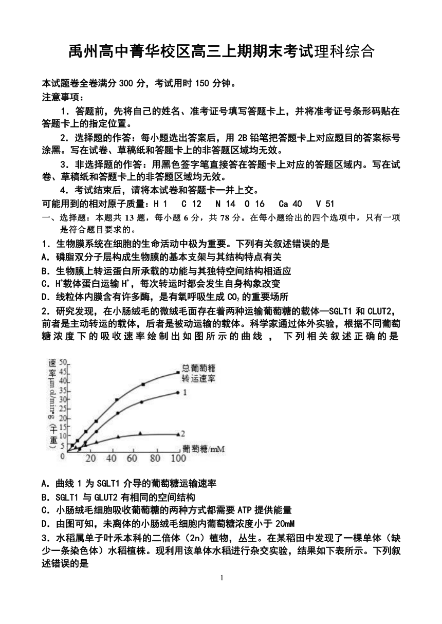 河南省禹州市高级中学（菁华校区）2023-2024学年高三上学期期末考试理科综合试题（Word版含答案）