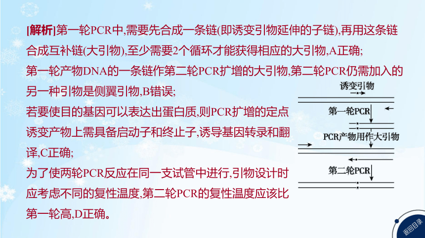 高考生物二轮复习微专题9　PCR技术的热点考法归纳及融合基因的原理和应用(共31张PPT)