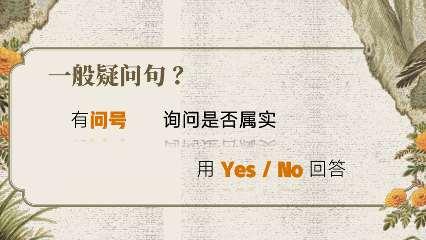 疑问句(单讲) 课件 2023-2024学年人教版七年级英语上册 (共29张PPT)