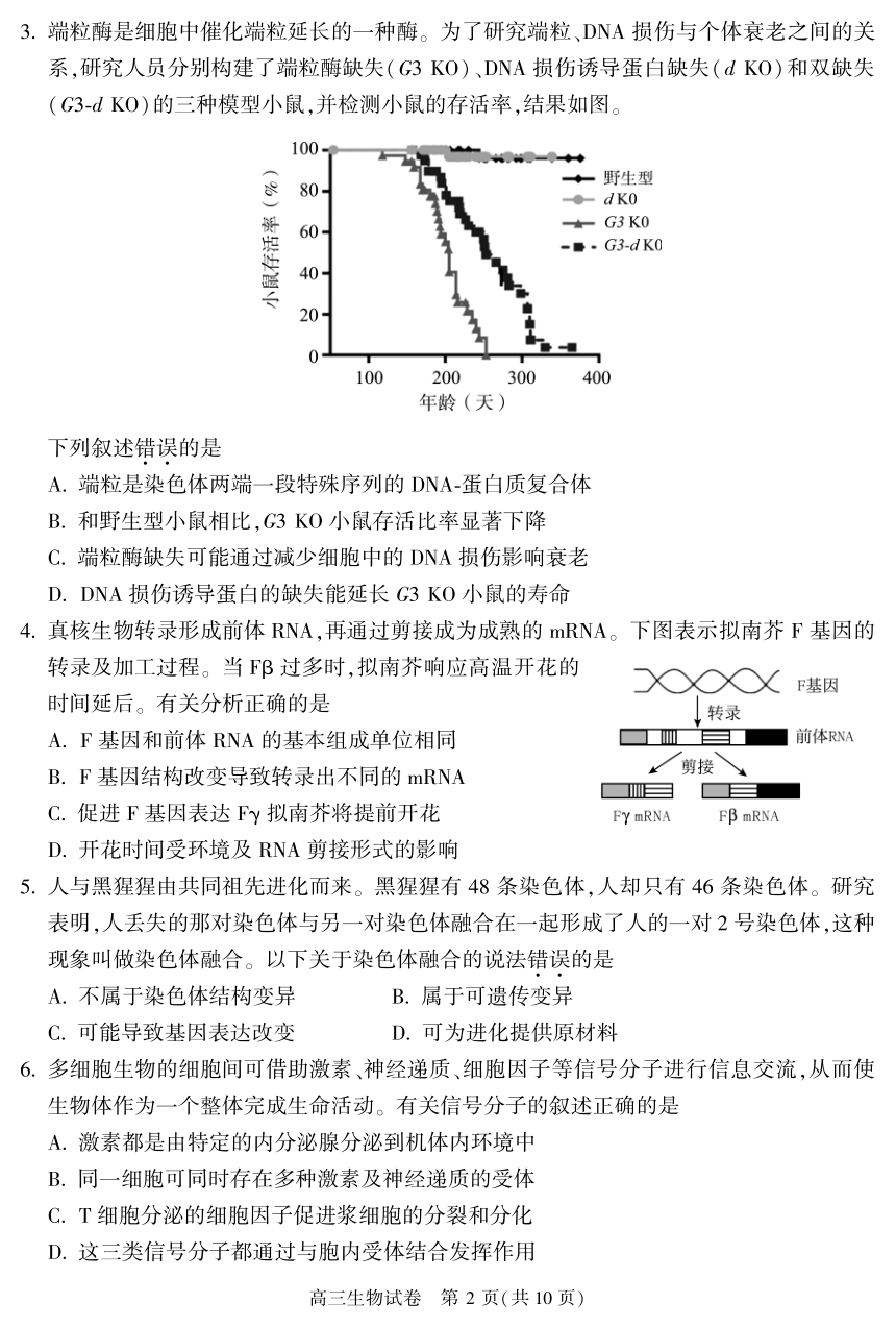 2023-2024学年北京朝阳区高三（上）期末生物试卷（PDF含答案）